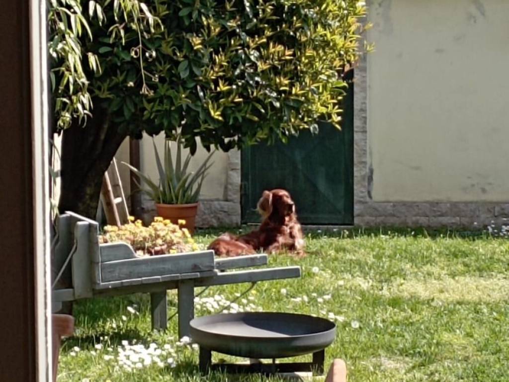 Villa a Gallarate - Foto 2