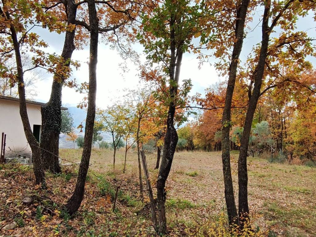 Terreno a Montella in Contrada Tagliabosco, 5 - Foto 2