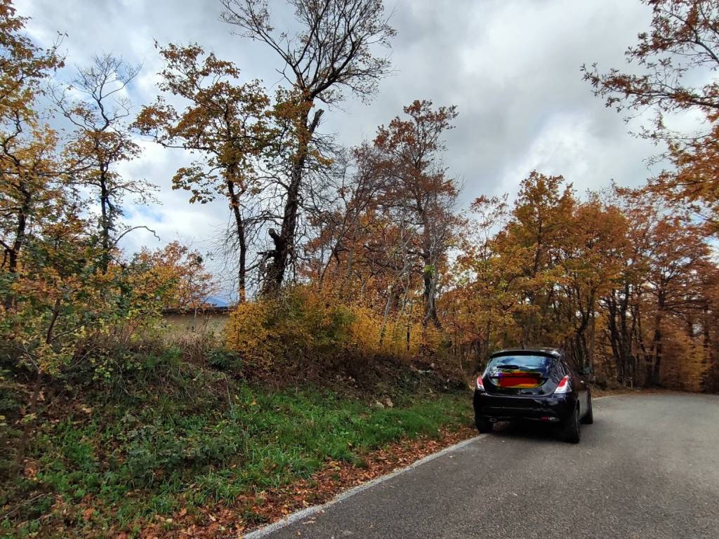 Terreno a Montella in Contrada Tagliabosco, 5 - Foto 3