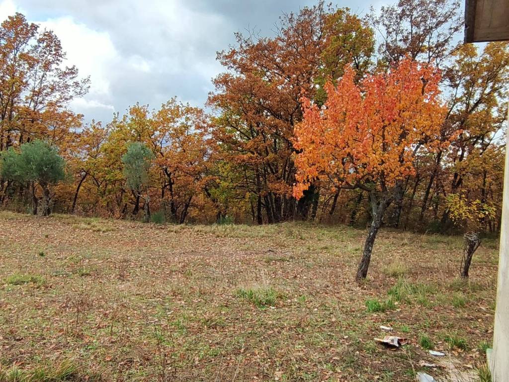 Terreno a Montella in Contrada Tagliabosco, 5 - Foto 4