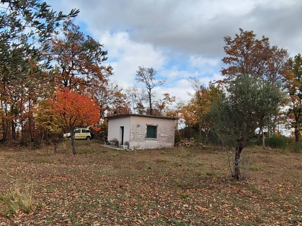 Terreno a Montella in Contrada Tagliabosco, 5 - Foto 5