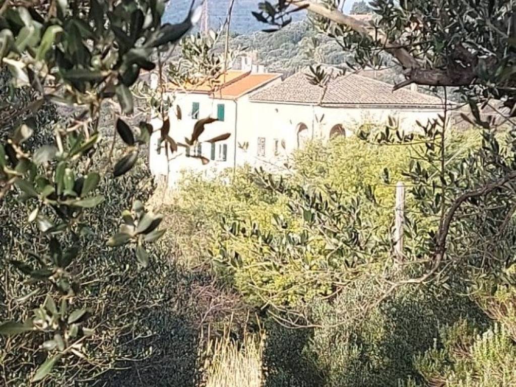 Rustico / casale a Savona in Via Ranco - Foto 2