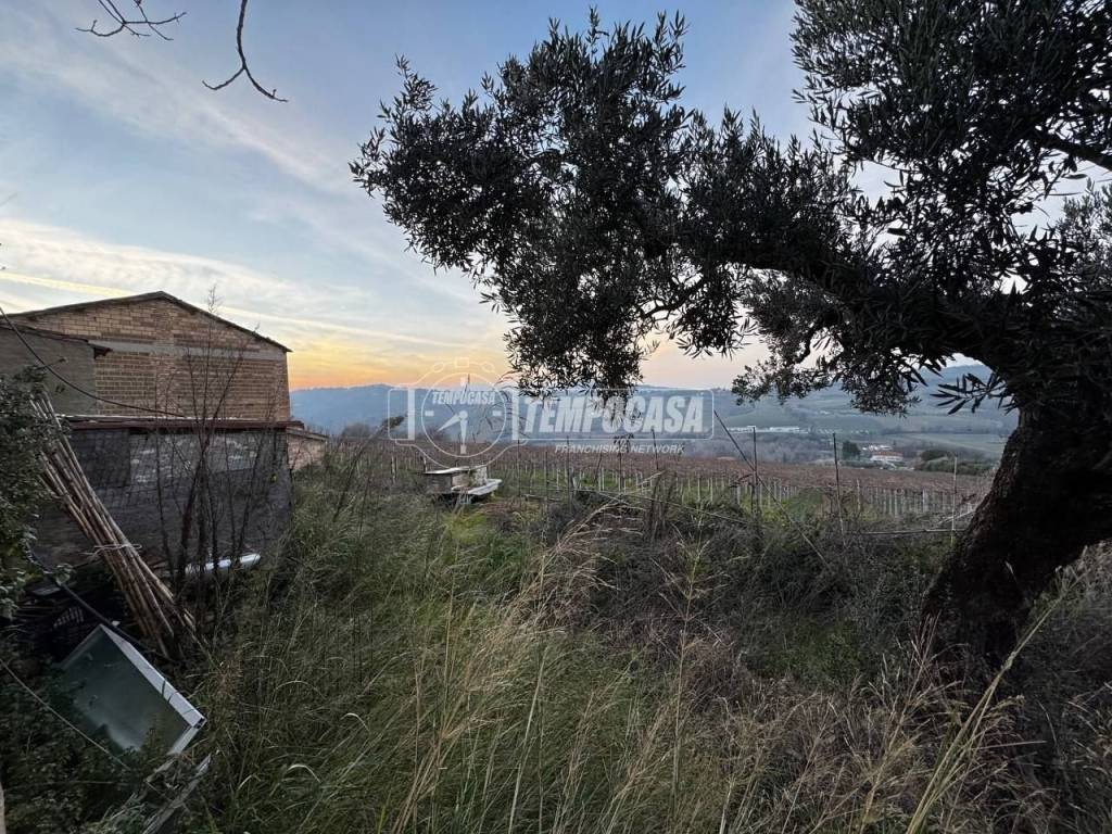 Villa a Vacri in Contrada Sterpara 54 - Foto 5