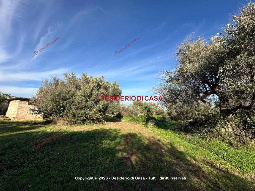Terreno a Termini imerese in Via Alessandro Manzo - Foto 4