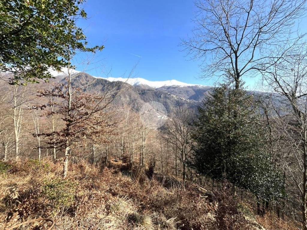 Rustico / casale a Campiglia cervo in Frazione Bariola - Foto 4