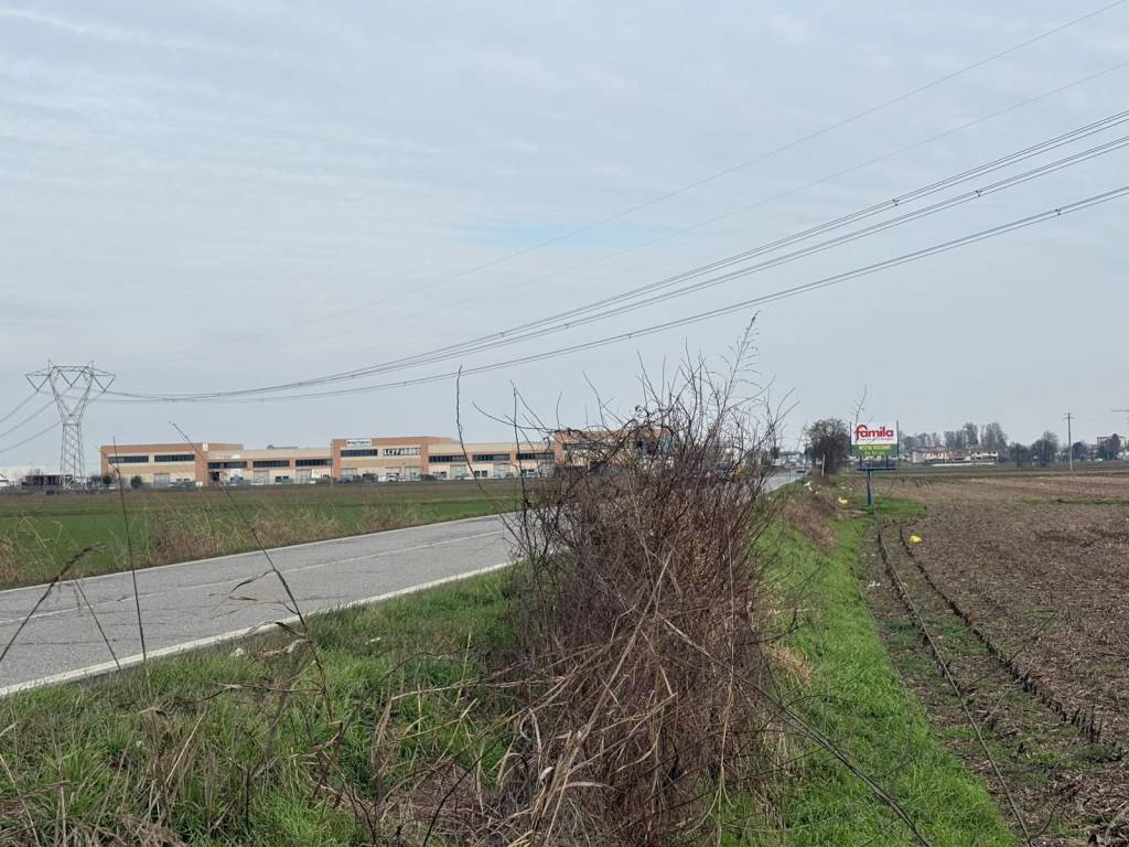 Terreno a Casorate primo in SP190 - Foto 3