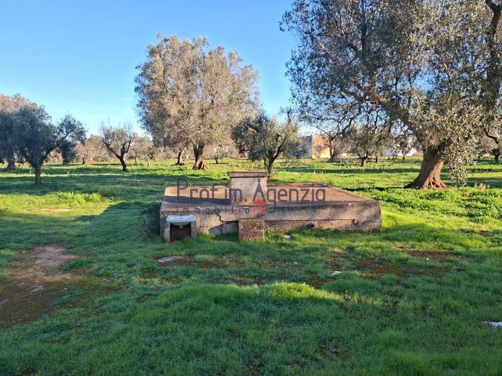 Rustico / casale a San michele salentino - Foto 4