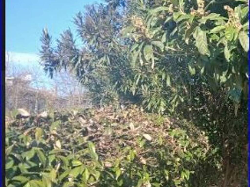 Appartamento a Ponte san nicolò in Viale Del Lavoro - Foto 5