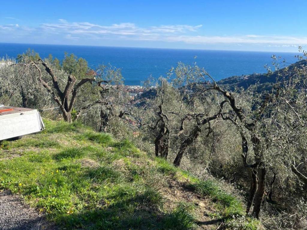 Terreno a Alassio in strada Panoramica San Bernardo, 55 - Foto 2