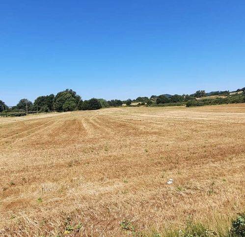 Terreno a Bracciano - Foto 2