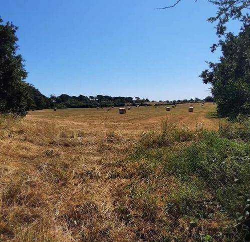 Terreno a Bracciano - Foto 3