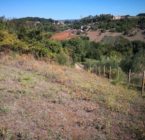 Terreno a Bracciano - Foto 4