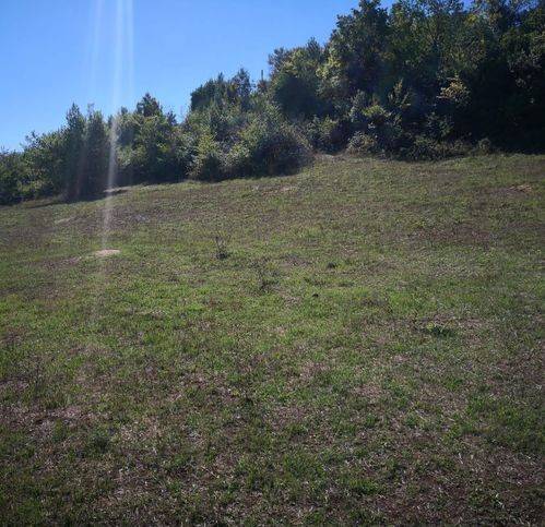 Terreno a Bracciano - Foto 5