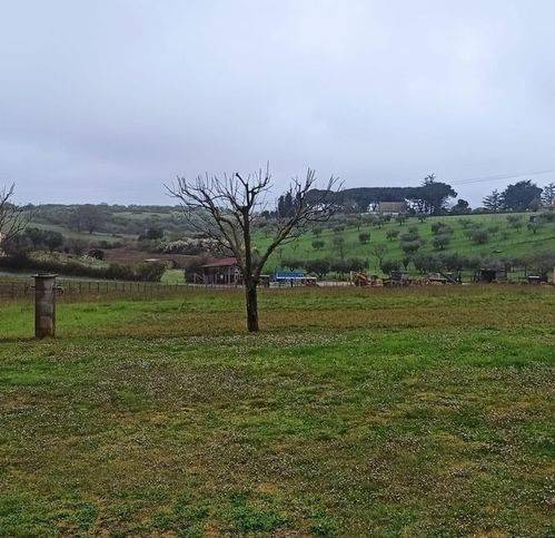Terreno a Bracciano - Foto 2