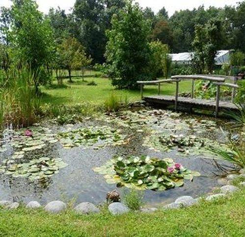 Terreno a Melizzano in Via Francitelli 4 - Foto 2