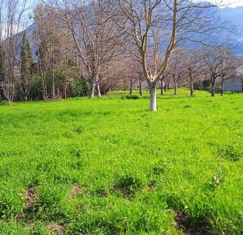 Terreno a Melizzano in Via Francitelli 4 - Foto 5