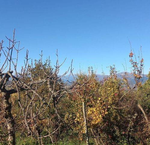 Rustico / casale a Melizzano in Via Tore - Foto 3