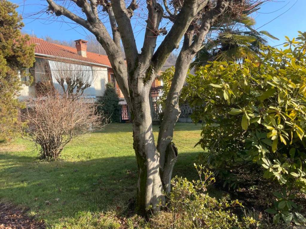 Casa indipendente a Biella in Via Senato, 10 - Foto 4
