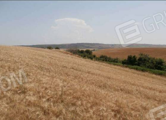 Terreno a Serracapriola - Foto 4