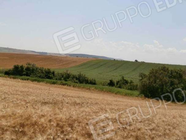 Terreno a Serracapriola - Foto 5