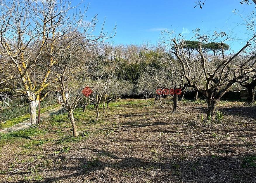 Rustico / casale a Aprilia in Via Amiata, 10 - Foto 5