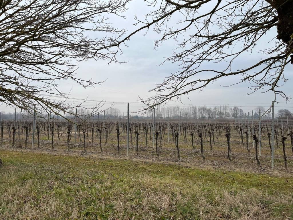 Terreno a Silea in Via Nerbon - Foto 2