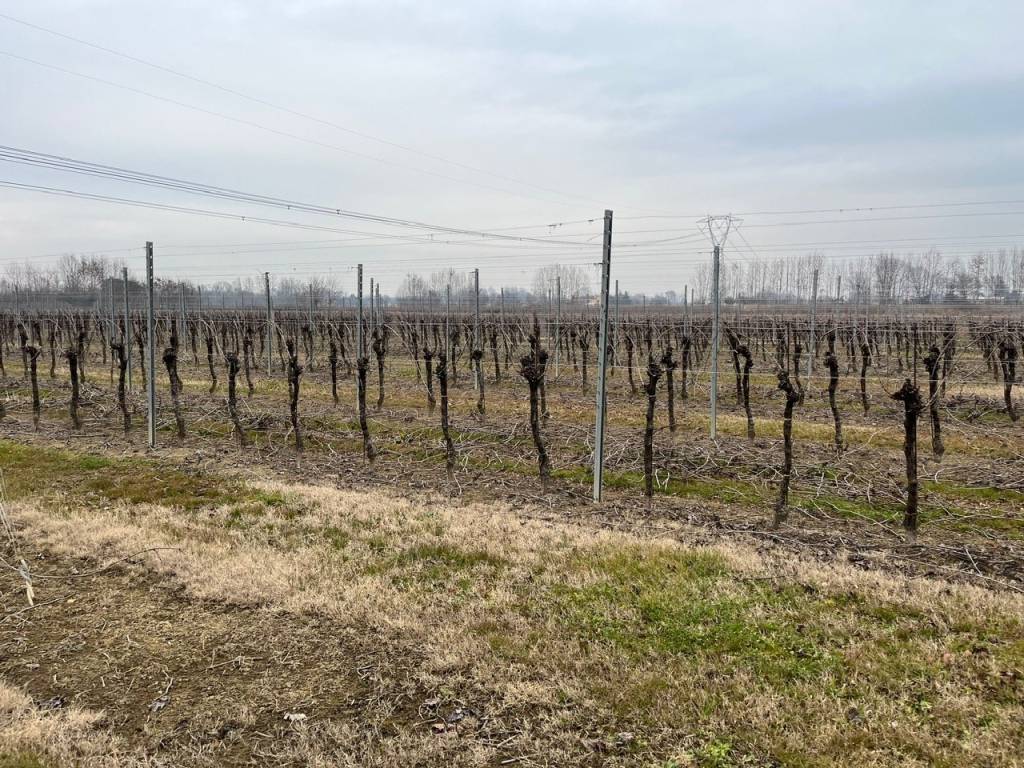 Terreno a Silea in Via Nerbon - Foto 3