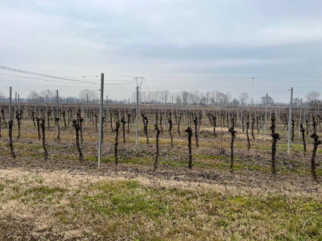 Terreno a Silea in Via Nerbon - Foto 4