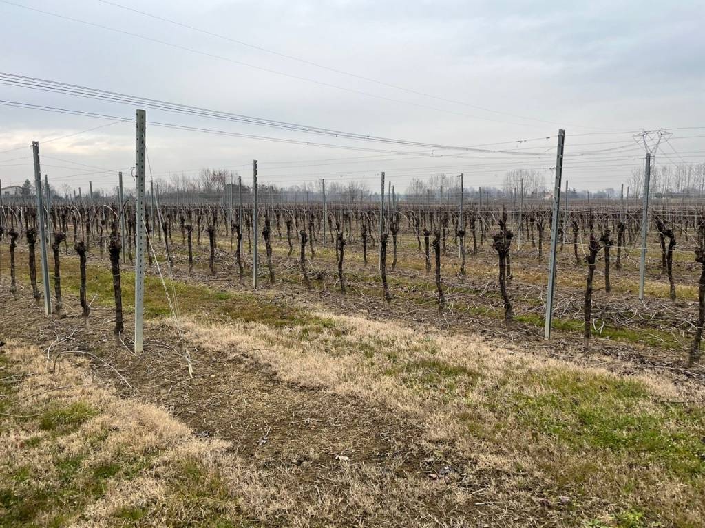 Terreno a Silea in Via Nerbon - Foto 5