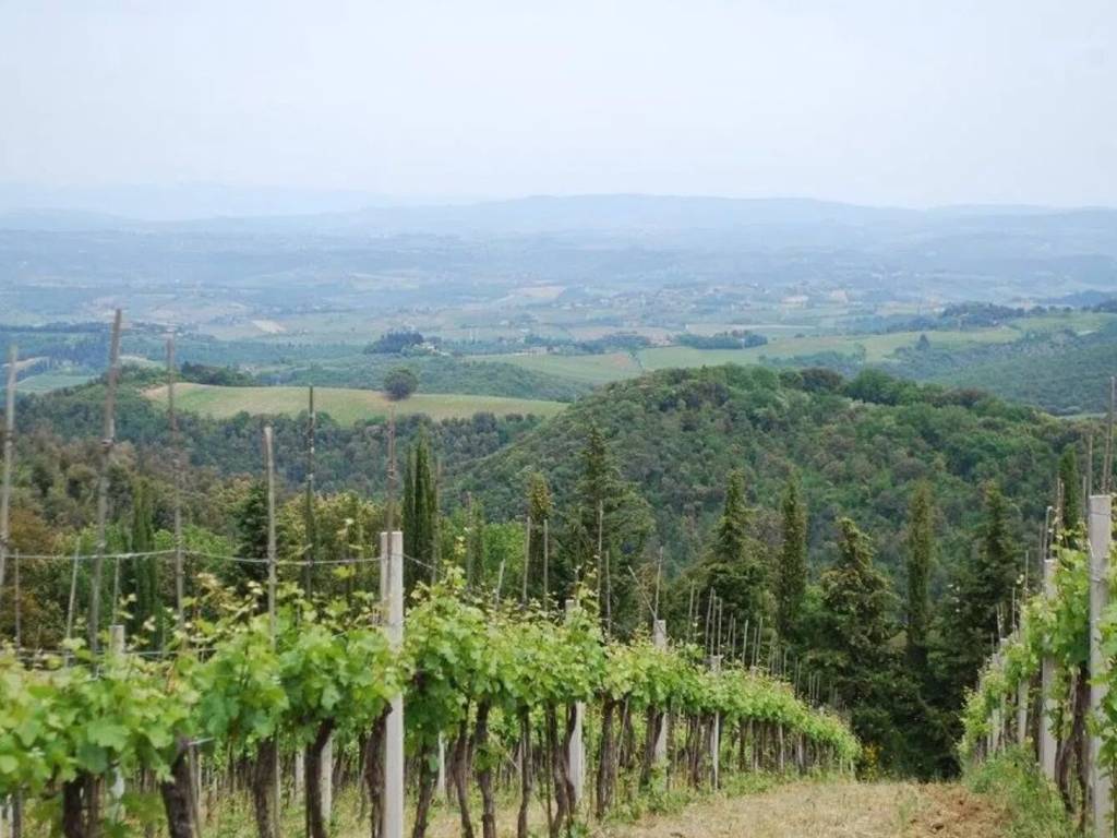 Terreno a Gambassi terme in Via Galileo Galilei - Foto 2