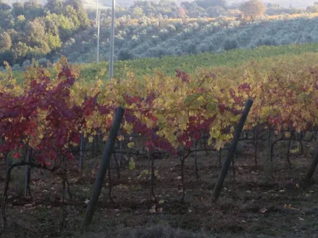 Terreno a Gambassi terme in Via Galileo Galilei - Foto 3