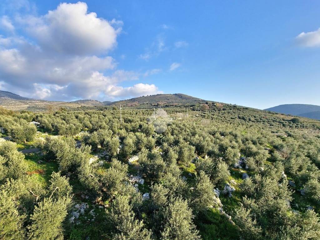 Villa a Sonnino in Via Rave Bianche - Foto 4