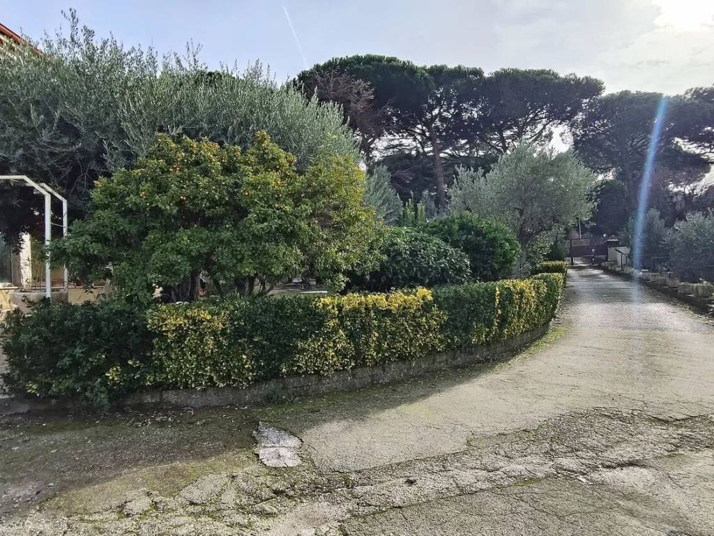 Appartamento a Marino in Via Caravaggio - Foto 2