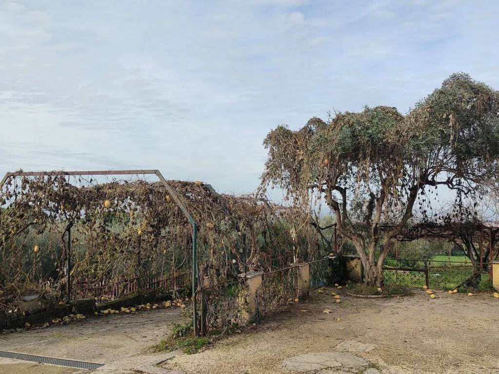 Appartamento a Marino in Via Caravaggio - Foto 4