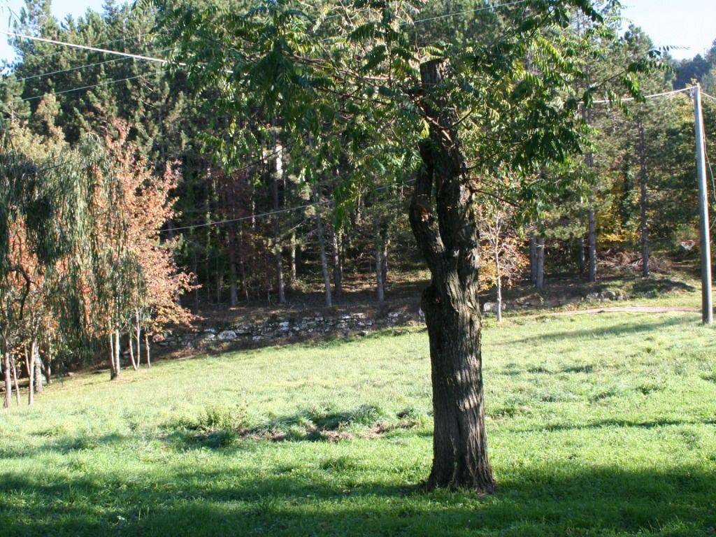 Rustico / casale a Vaglia in Via della Chiesa - Foto 2