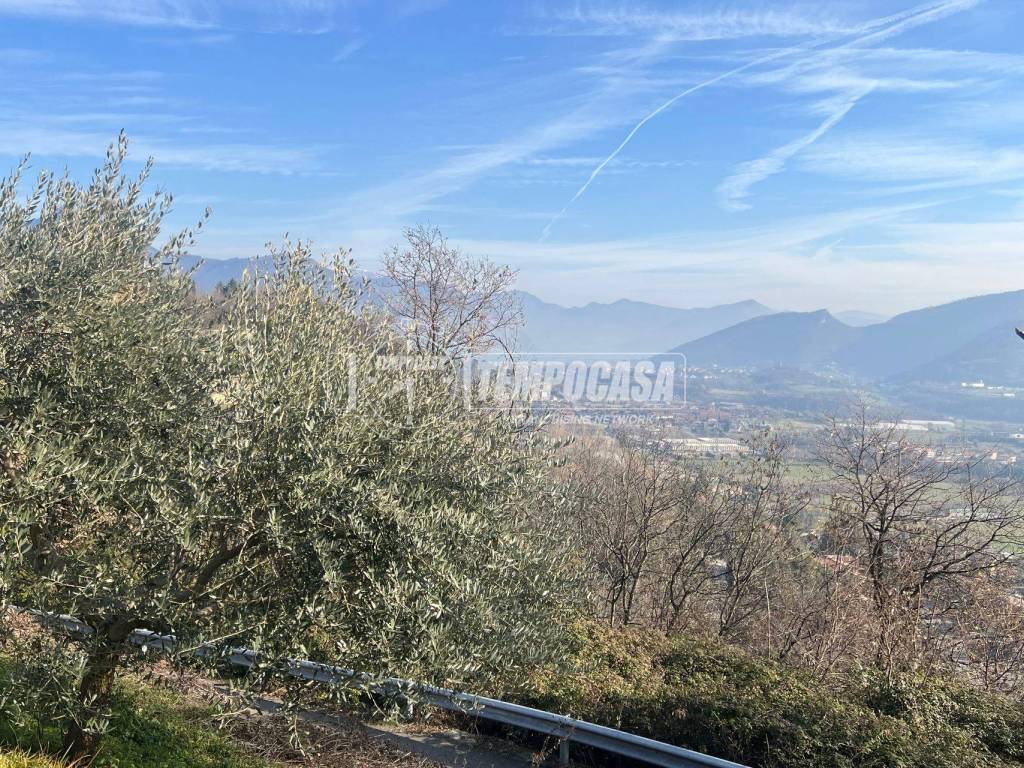Terreno a Castelli calepio in Localita colle - Foto 2