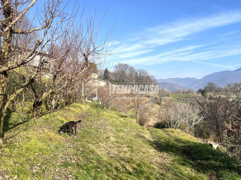 Terreno a Castelli calepio in Localita colle - Foto 3