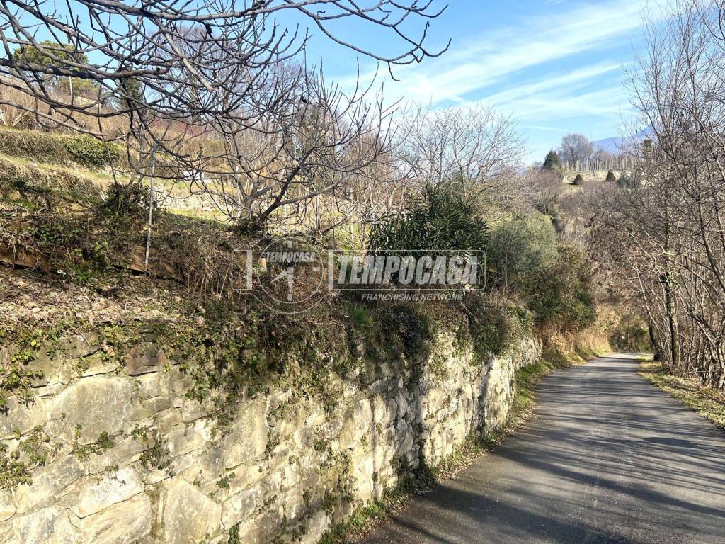 Terreno a Castelli calepio in Localita colle - Foto 4