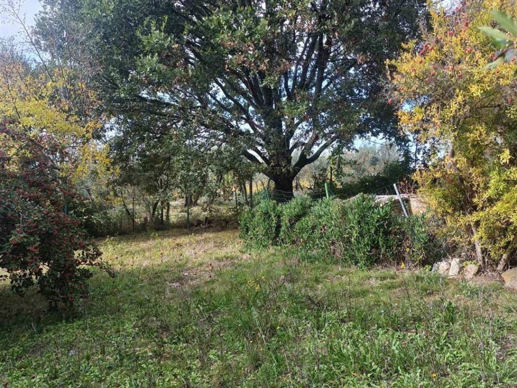 Rustico / casale a San casciano in val di pesa - Foto 3