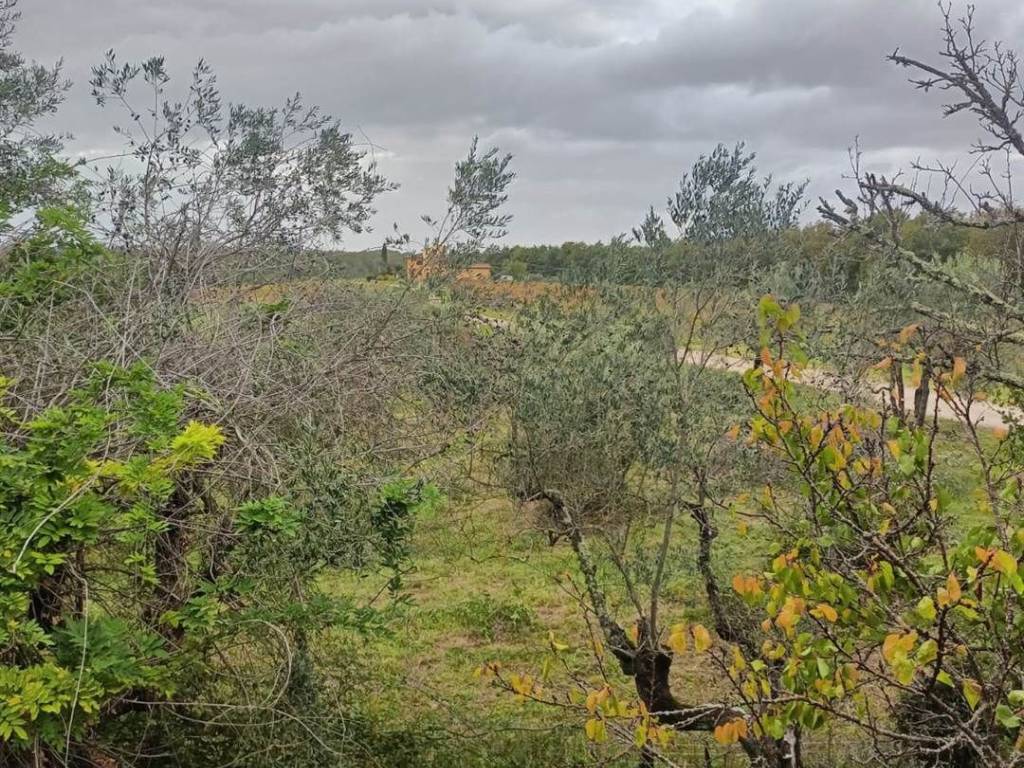 Rustico / casale a San casciano in val di pesa - Foto 5