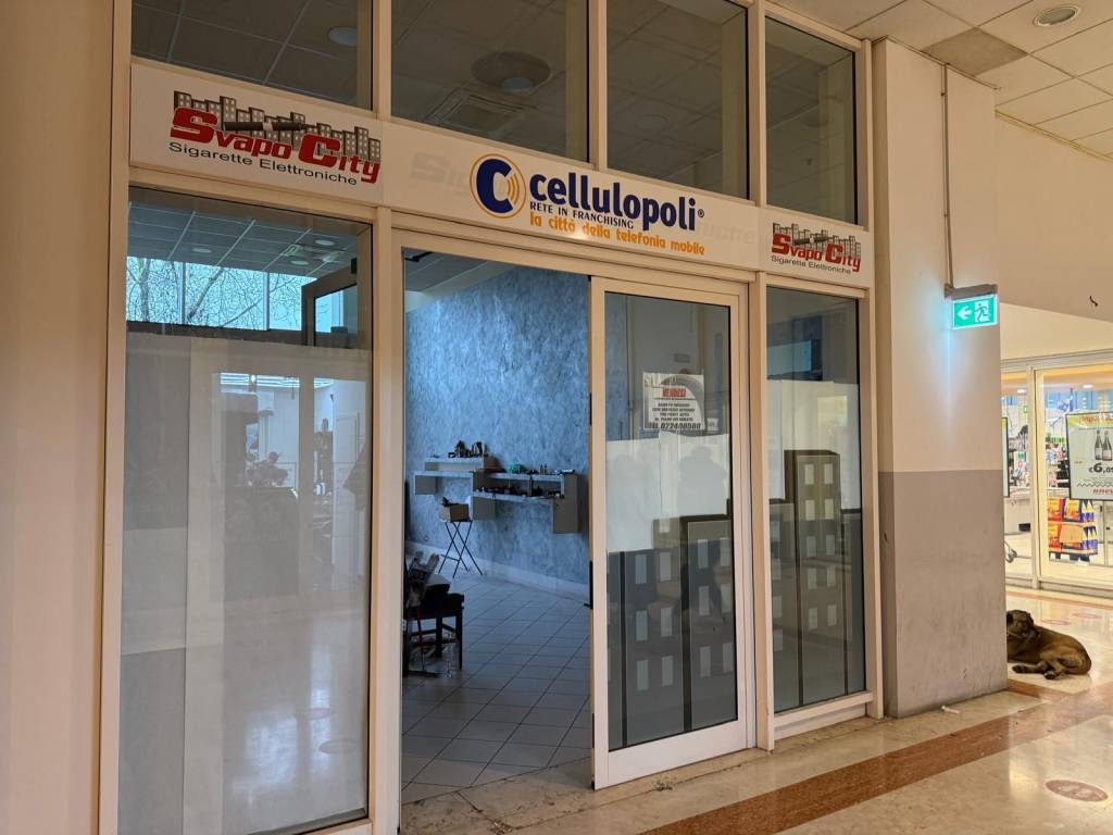 Immobile a Pioltello in Via alla Stazione - Foto 3