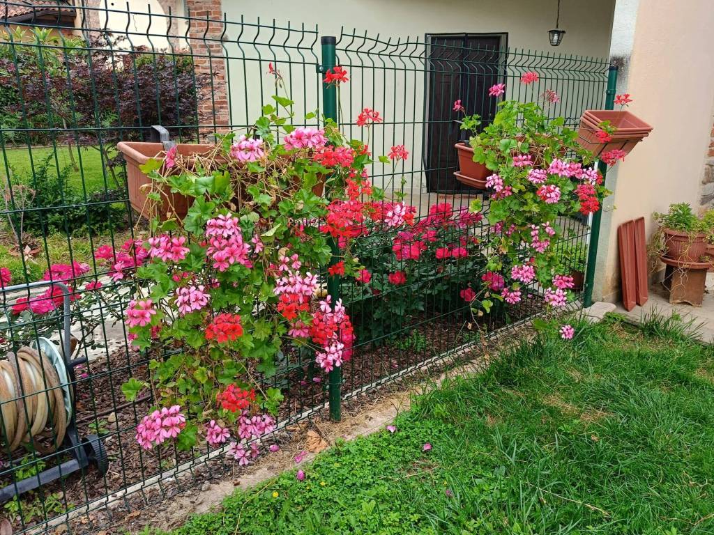 Villa a Mazzè in Via Giuseppe Garibaldi, 249 - Foto 5