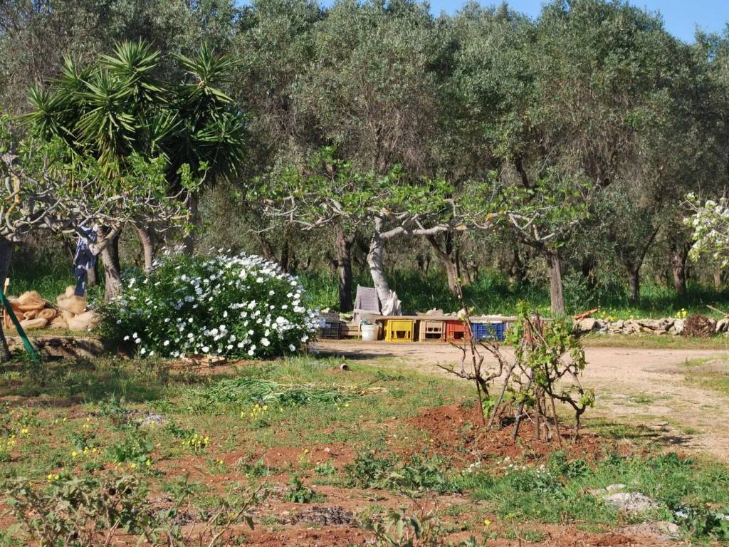 Terreno a Fasano in Sp4, 63 - Foto 5