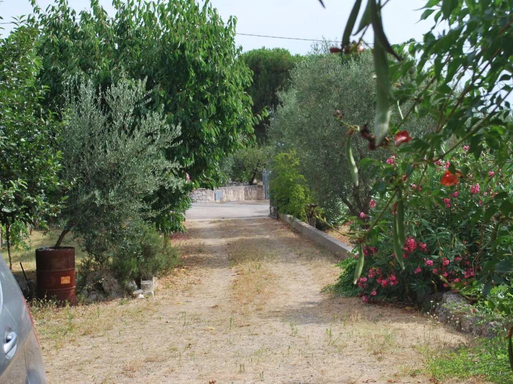 Rustico / casale a Locorotondo in Contrada Lamie Olimpie, 10 - Foto 4
