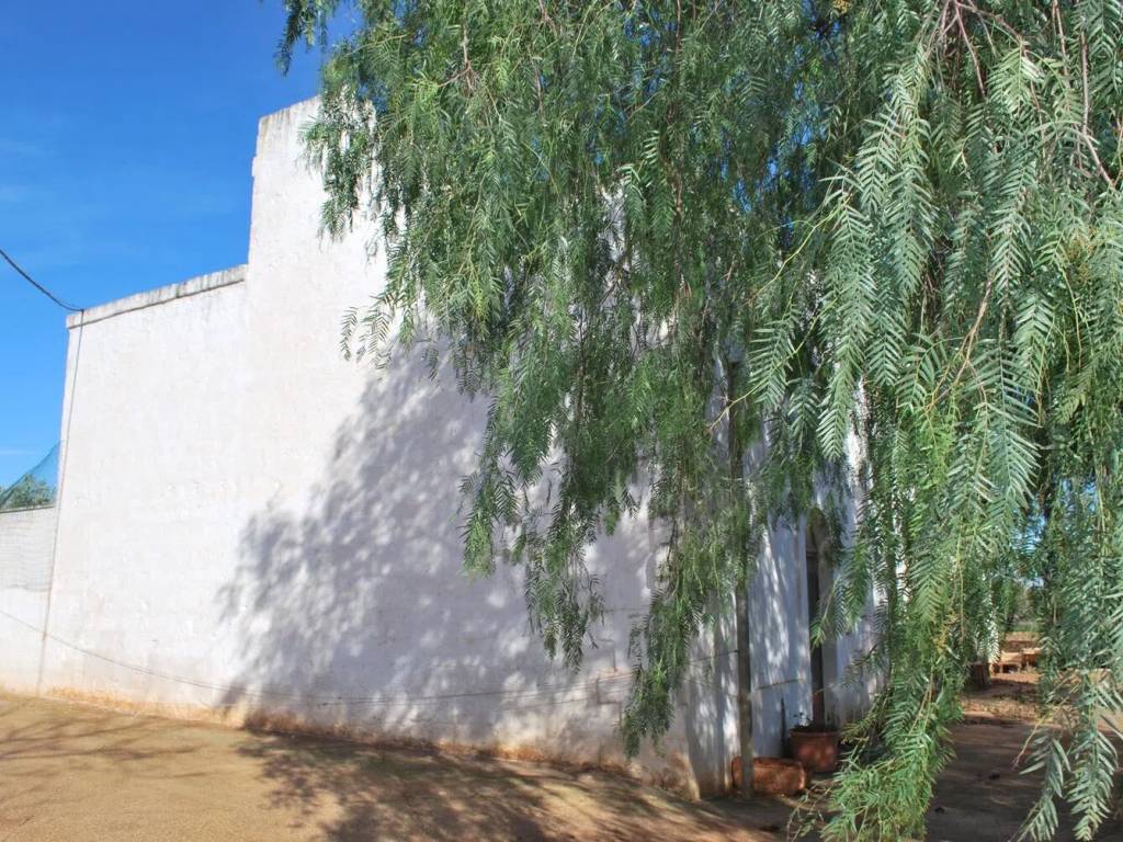 Rustico / casale a Fasano in Contrada Martucci, 10 - Foto 4