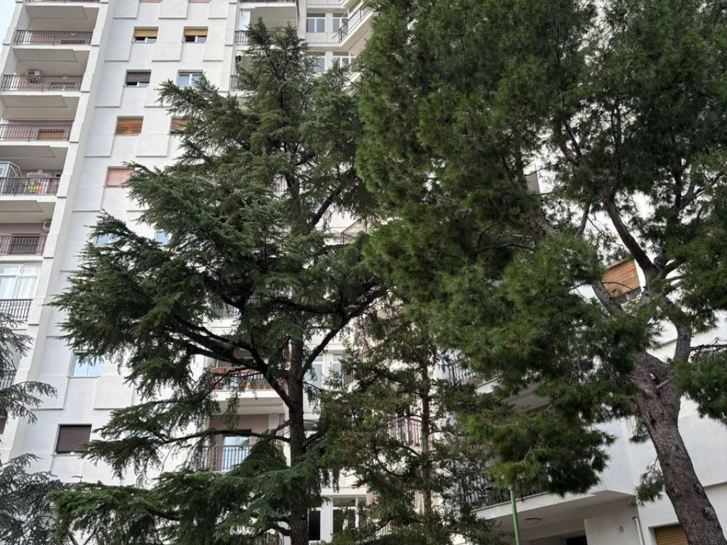 Appartamento a Bari in Via Gaetano Salvemini, 16 - Foto 2