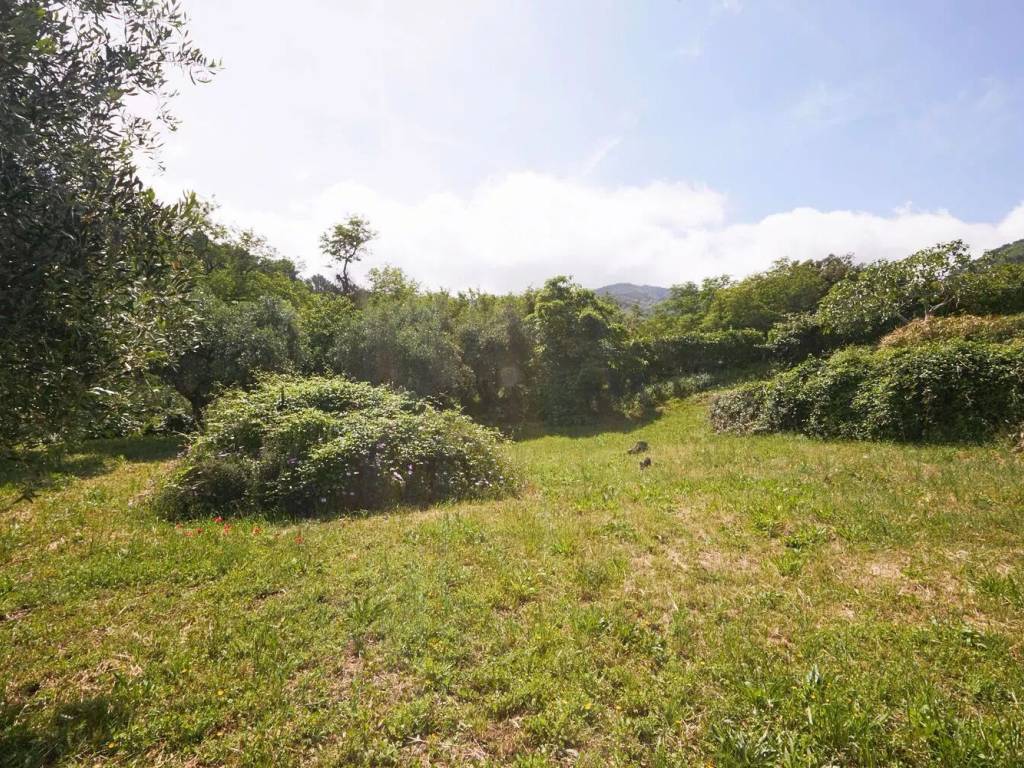 Appartamento a Marciana in Via Case Vecchie, 15 - Foto 5