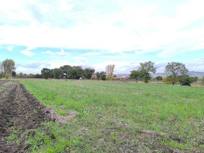 Terreno a Frigento in Contrada Molara - Foto 3