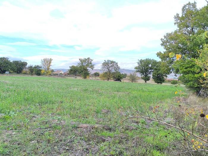 Terreno a Frigento in Contrada Molara - Foto 4