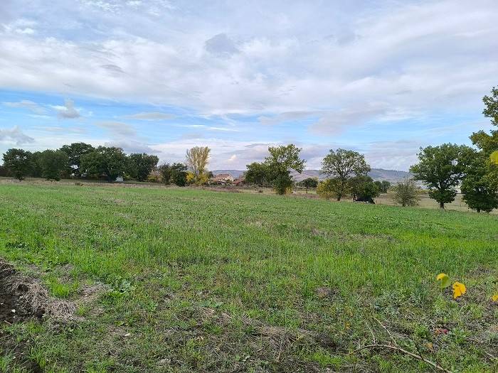 Terreno a Frigento in Contrada Molara - Foto 5